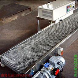 不銹鋼網帶輸送機報價 廠家